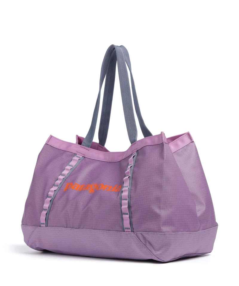 Patagonia Black Hole 25 Bolsa shopping brisk purple
