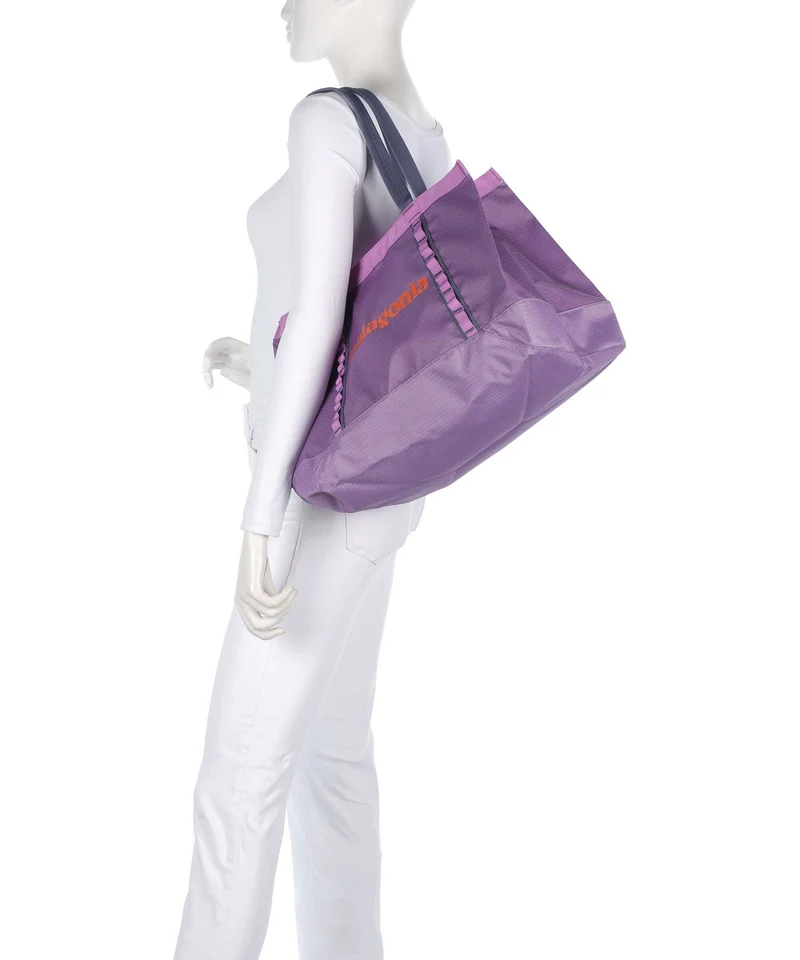 Patagonia Black Hole 25 Bolsa shopping brisk purple